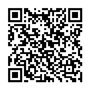 不过从母亲不时的愉悦笑声和女人不时低头娇羞当中二维码生成