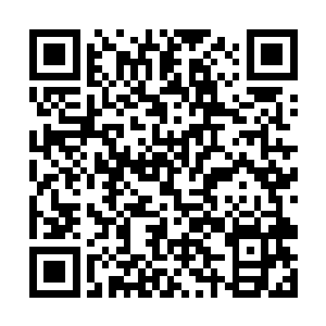 不过他也许发现自己的实力还不足以在仙界横行无忌二维码生成