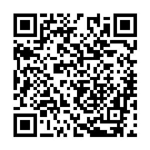 不过他们也会从那些上等家族手中得到不少的好处二维码生成