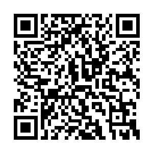 不过他们对于龙傲天的表现却是再一次惊讶不已二维码生成