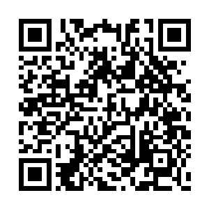 不过他估计这家公司的股份基本就是用来行贿的二维码生成