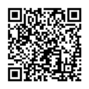 不过他就是用猜也能够猜到这个猪头是平南区委杨书记的儿子二维码生成