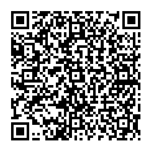不过他现在考虑的是另一个问题――大帝究竟知道不知道战场上有这么一个人正在和他争夺神宝二维码生成