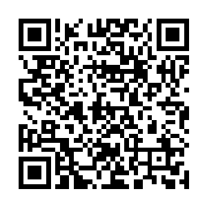 不过以梨落仙子这样的名气此刻本该是享受万众瞩目的二维码生成