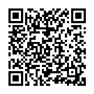 不过价格上如果按照正规渠道只能买一辆皇冠或者大霸王的钱二维码生成