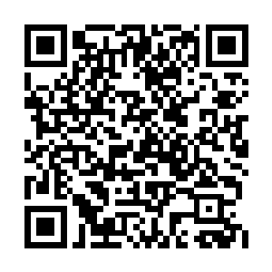 不过低首看到脑袋枕在他大腿上睡得香甜的人时二维码生成