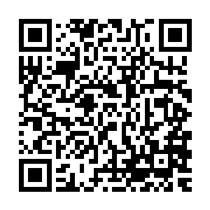 不过你在冰城和最高议会安排的内应能够打乱冰城的防御布置吗二维码生成