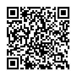 不过修真炼气的修真者早在数百年前就已经绝迹二维码生成