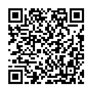不过兰芷忧的建议是让代离把符箓甩在拍卖行里面拍卖二维码生成