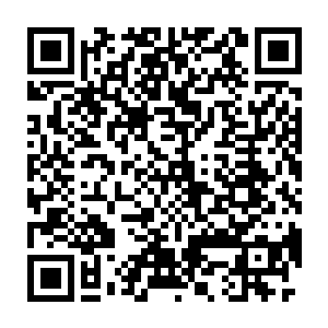 不过刚才我看整个门派中的那个利剑对于整个门派来说可是重中之重啊二维码生成