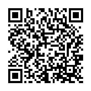 不过刚才这一道攻击终于让他们知道了彼此之间的差距二维码生成