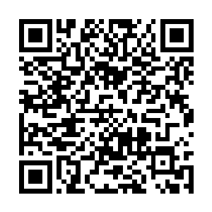 不过千年便是将南疆那十分薄弱的底子给翻了又翻二维码生成