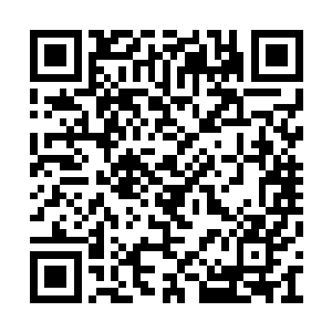 不过南宫璟宸血红的双眼却像待一个陌生人一般二维码生成