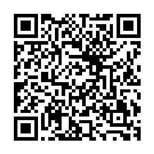 不过叶尊狂言整个南方群域同辈天才敢于挑战他的人寥寥无几二维码生成