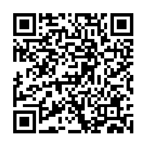 不过周少爷家的公司在龙城这边也算是数一数二的二维码生成