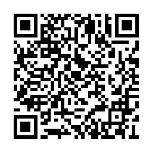 不过因为生活在北极圈这种极为寒冷的环境当中二维码生成