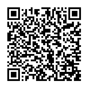 不过在妮娜看来如果让她来打理这么大个房子的话……她估计会斯巴达吧二维码生成