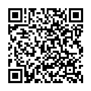 不过在流墨墨有些别扭和灵猫儿难得的沉稳下来时二维码生成