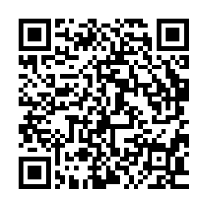 不过在海上船长的命令就是命令马特和船员们都必须认真的对待二维码生成
