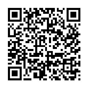 不过在灵精秘境内修炼仍旧是极为宝贵的一个环境二维码生成
