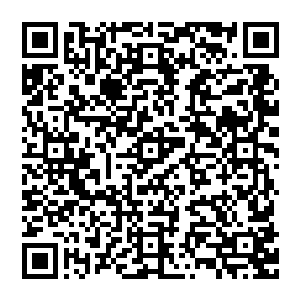 不过天罗宗的人竟然能够在一年多的时间内破掉了万邪谷的这么多禁制到达这里这已经是让龙傲天十分的震惊了二维码生成