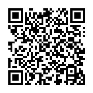 不过她也不想和洒迭因为这几万的仙晶在苗品珊面前争吵二维码生成