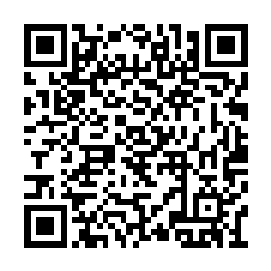 不过好在咱们家小刚倒是给我找回来不少的面子二维码生成