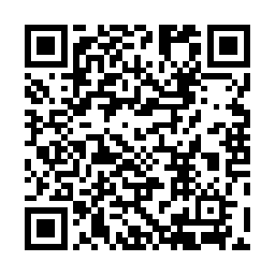 不过就在师门左右为难之时却跳出了一只不简单的小僵尸二维码生成