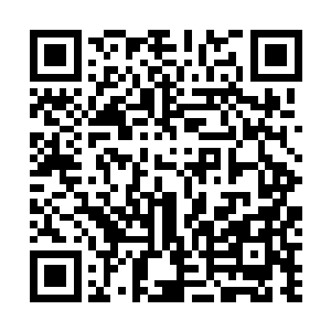 不过就在这密密麻麻的黑色雨滴即将落在众人身上的瞬间二维码生成