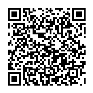 不过就在那名复杂审核的老者以为这些魔核是剑尘所能拿出的所有魔核时二维码生成