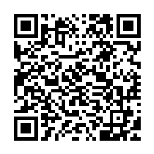 不过就青轮镇这个小地方能让他们出动这么多人已经很难得了二维码生成