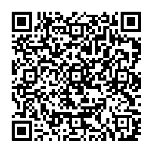 不过巴克弄了点豆子加上自己带的牛肉味浓缩营养丸碾碎了撒在上面一起用开水煮二维码生成