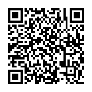不过开始的时候这些龙族还有魔兽森林的高手是不会出手的二维码生成