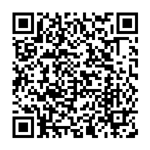 不过弗拉基米尔家族不管是它的知名度还是影响力都不如佩图霍夫二维码生成