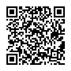 不过我们金辰界府是我家界主先祖在金辰界海的行宫之一二维码生成