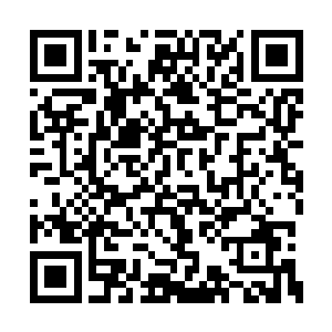 不过我刚刚得知其他的几个师伯却同时消失不见二维码生成