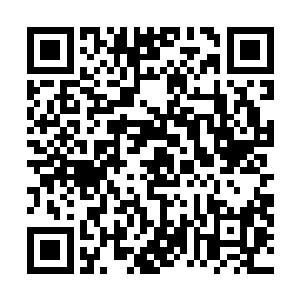 不过我放走了这么多散修和除了魔仙门妖仙门的仙门修士二维码生成