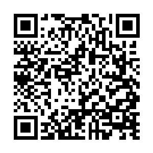 不过我没想到仅仅这么几年你的修为竟然增长了这么多二维码生成