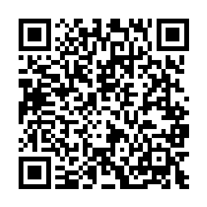 不过我相信不管是谁情大都会给我们一个最独特的男主二维码生成