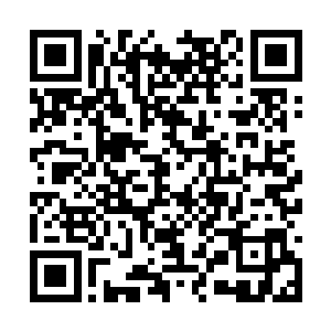 不过我羽翼上金色咒语决定了我们来自不同的种族二维码生成