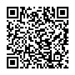 不过或许是格塔娜也没想到进入龙魂之地的龙族会有不死的二维码生成