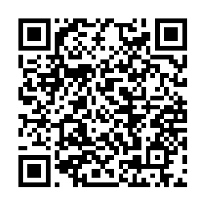 不过手掌形成的刀气被这道临死前形成的怨气激荡二维码生成