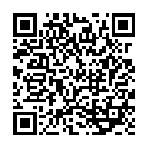 不过据我估计……他应该是设法搞到了约翰的dna样本二维码生成