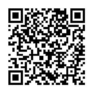 不过无角人骨器师炼制的骨器通常很难卖出一个好价钱二维码生成