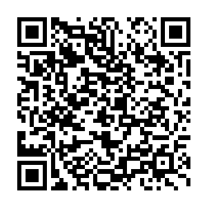 不过是凭借着那诡异多变的武学以及手中那条灵活如蛇一般的长鞭二维码生成