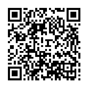 不过是我们用来区分人类与其他所有物种的称呼罢了二维码生成