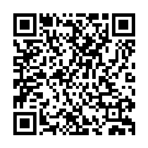 不过是盗取了我族十二都天神煞大阵的一点皮毛就敢如此嚣张二维码生成