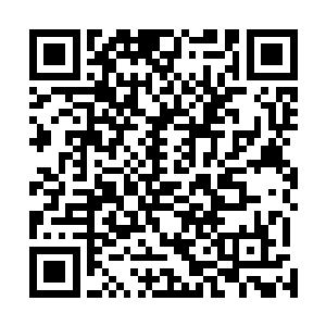 不过是给一些喜欢出风头的神王提供一个出名的机会罢了二维码生成