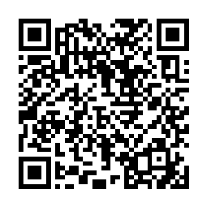 不过显然此时杨戬整个人的脸色也变得无比的难看起来二维码生成