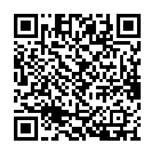 不过杨晨一眼还是看不出这猴子有什么不同之处二维码生成